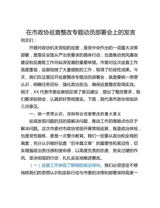 在市政协巡查整改专题动员部署会上的发言