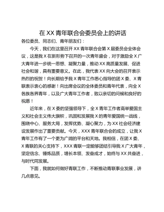 在XX青年联合会委员会上的讲话