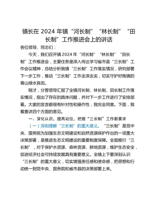 镇长在 2024 年镇“河长制”“林长制”“田长制”工作推进会上的讲话