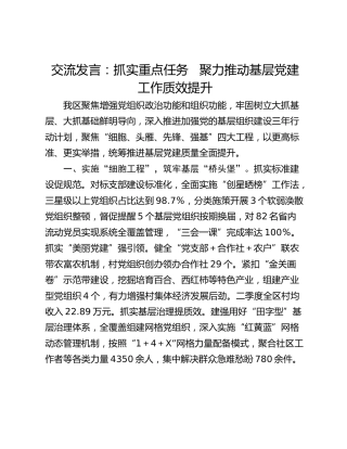 交流发言：抓实重点任务   聚力推动基层党建工作质效提升_1