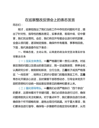 在巡察整改反馈会上的表态发言_1