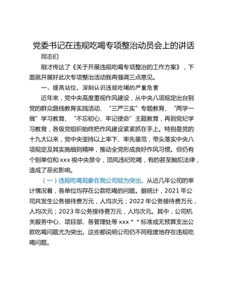 党委书记在违规吃喝专项整治动员会上的讲话