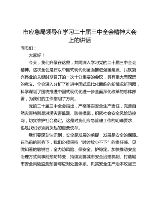 市应急局领导在学习二十届三中全会精神大会上的讲话