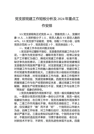 党支部党建工作短板分析及2024年重点工作安排