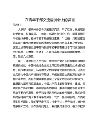 在青年干部交流座谈会上的发言