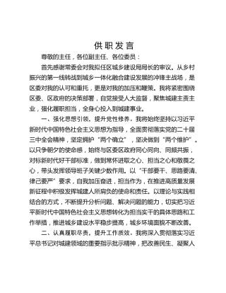 供 职 发 言