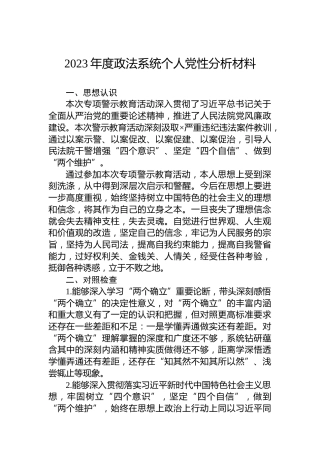2023年度政法系统个人党性分析材料