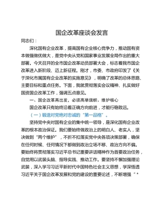国企改革座谈会发言