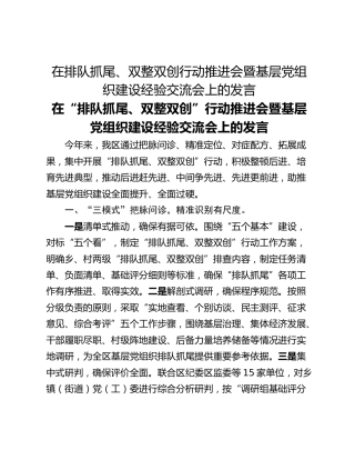 在排队抓尾、双整双创行动推进会暨基层党组织建设经验交流会上的发言
