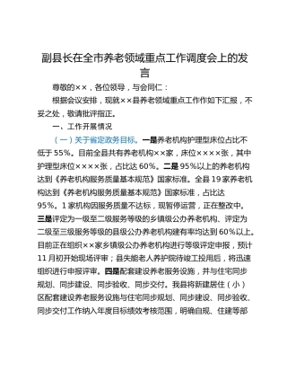 副县长在全市养老领域重点工作调度会上的发言