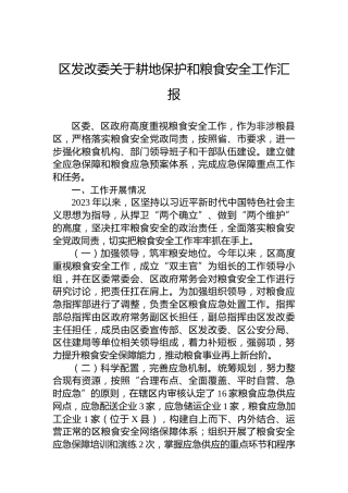 区发改委关于耕地保护和粮食安全工作汇报