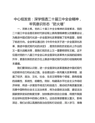 中心组发言：深学悟透二十届三中全会精神，牢筑意识形态“防火墙”