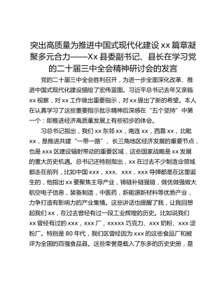 突出高质量为推进中国式现代化建设xx篇章凝聚多元合力——Xx县委副书记、县长在学习党的二十届三中全会精神研讨会的发言