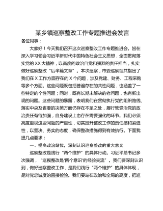 某乡镇巡察整改工作专题推进会发言
