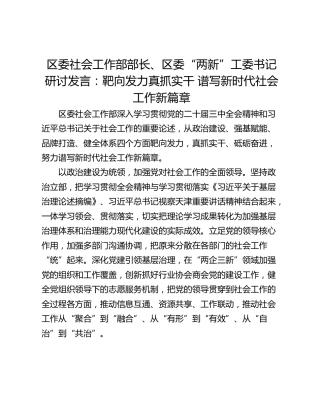 区委社会工作部部长、区委“两新”工委书记研讨发言：靶向发力真抓实干 谱写新时代社会工作新篇章