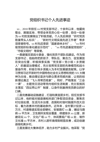 党组织书记个人先进事迹
