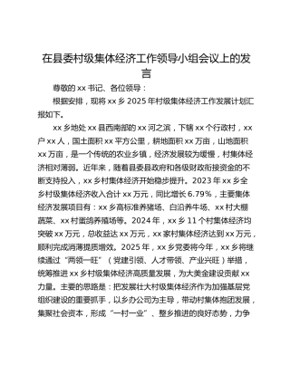 在县委村级集体经济工作领导小组会议上的发言