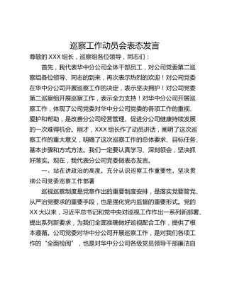 巡察工作动员会表态发言