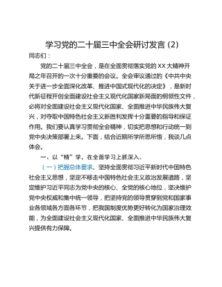 学习党的二十届三中全会研讨发言 (2)