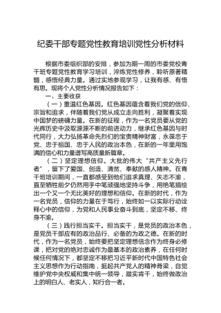 纪委干部专题党性教育培训党性分析材料