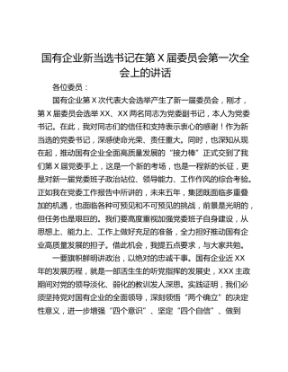 国有企业新当选书记在第X届委员会第一次全会上的讲话