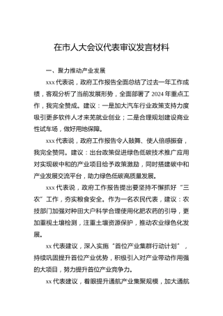在市人大会议代表审议发言材料