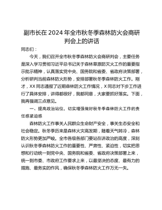 副市长在2024年全市秋冬季森林防火会商研判会上的讲话