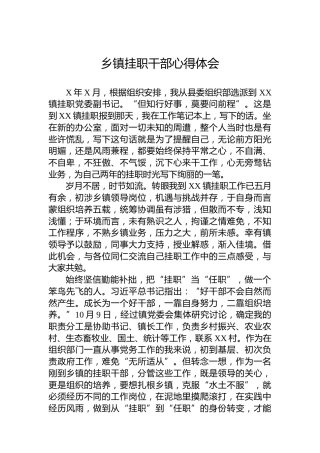乡镇挂职干部心得体会