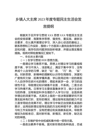 乡镇人大主席2023年度专题民主生活会发言提纲