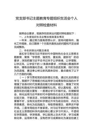 党支部书记主题教育组织生活会个人对照检查材料