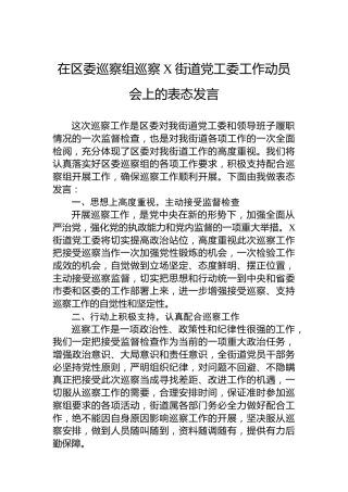 在区委巡察组巡察X街道党工委工作动员会上的表态发言