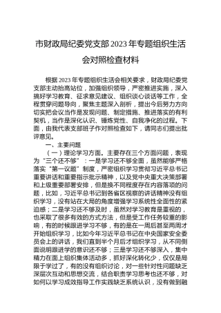 市财政局纪委党支部2023年主题教育组织生活会对照检查材料