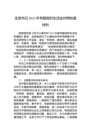 支部书记2023年主题教育组织生活会对照检查材料