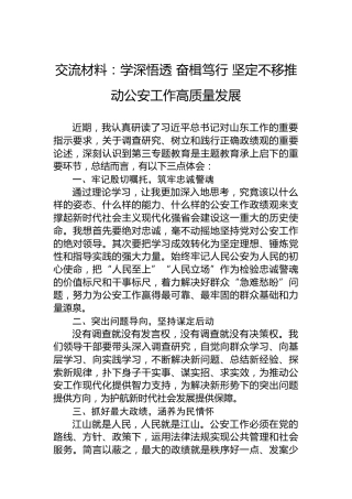 交流材料：学深悟透奋楫笃行坚定不移推动公安工作高质量发展