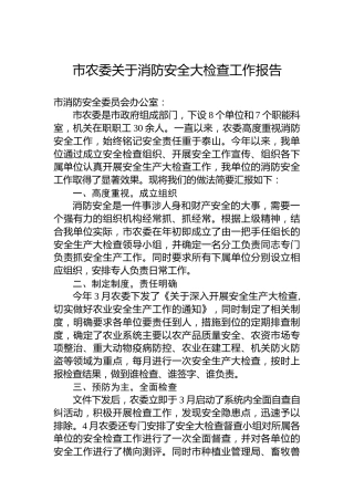 市农委关于消防安全大检查工作报告