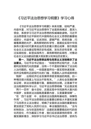 《习近平法治思想学习纲要》学习心得