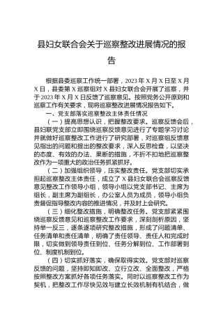 县妇女联合会关于巡察整改进展情况的报告