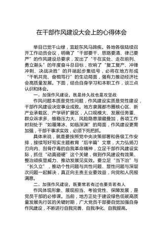 在干部作风建设大会上的心得体会