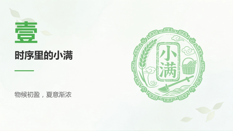 小满时节PPT小得盈满岁月从容二十四节气之小满介绍课件_第3页
