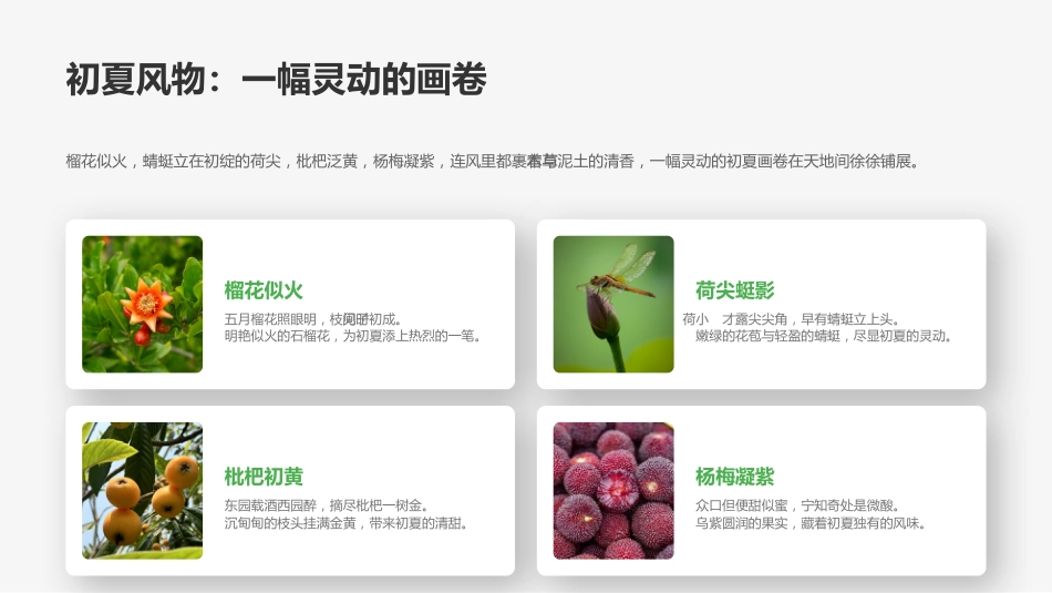 小满时节PPT小得盈满岁月从容二十四节气之小满介绍课件_第6页