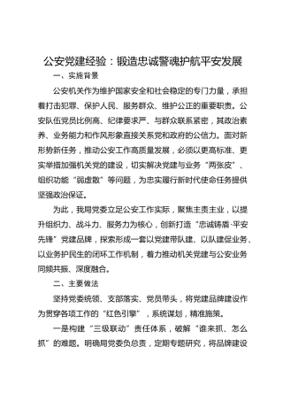 公安党建经验：锻造忠诚警魂护航平安发展