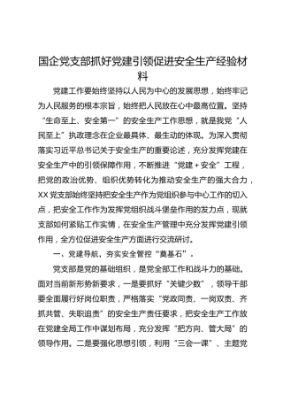 国企党支部抓好党建引领促进安全生产经验材料