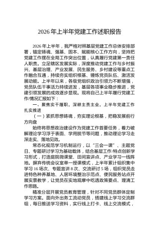 2026年上半年党建工作述职报告