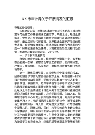 XX市审计局关于开展情况的汇报