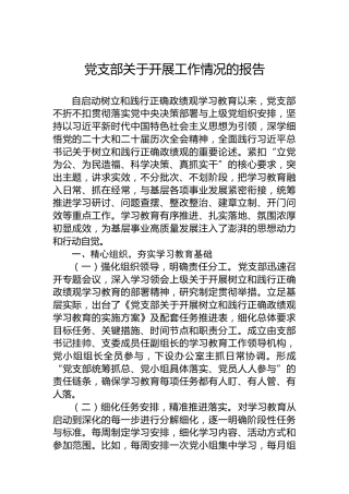 党支部关于开展工作情况的报告