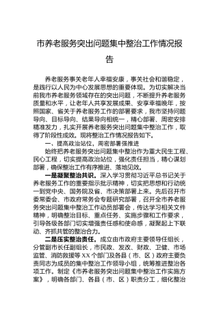 市养老服务突出问题集中整治工作情况报告