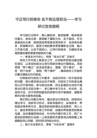 守正笃行担使命实干致远显担当——学习研讨发言提纲