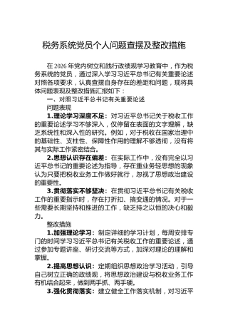 税务系统党员个人问题查摆及整改措施