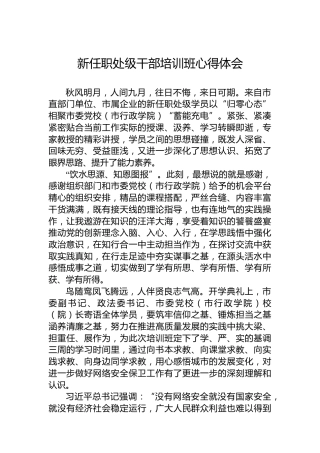 新任职处级干部培训班心得体会