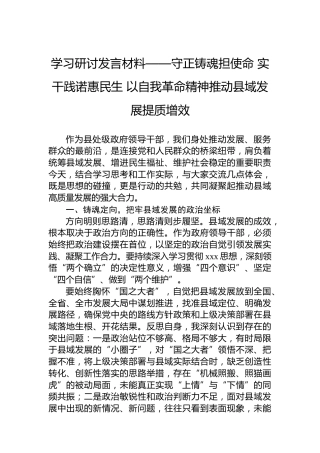 学习研讨发言材料——守正铸魂担使命实干践诺惠民生以自我革命精神推动县域发展提质增效